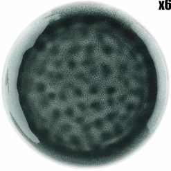 Bjorn 6 Assiettes Moon bleu nuit - D.21 cm