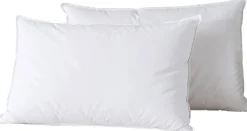 Sale Home Collection 2 Oreillers en Plumes blancs