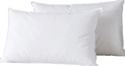 Sale Home Collection 2 Oreillers en Plumes blancs