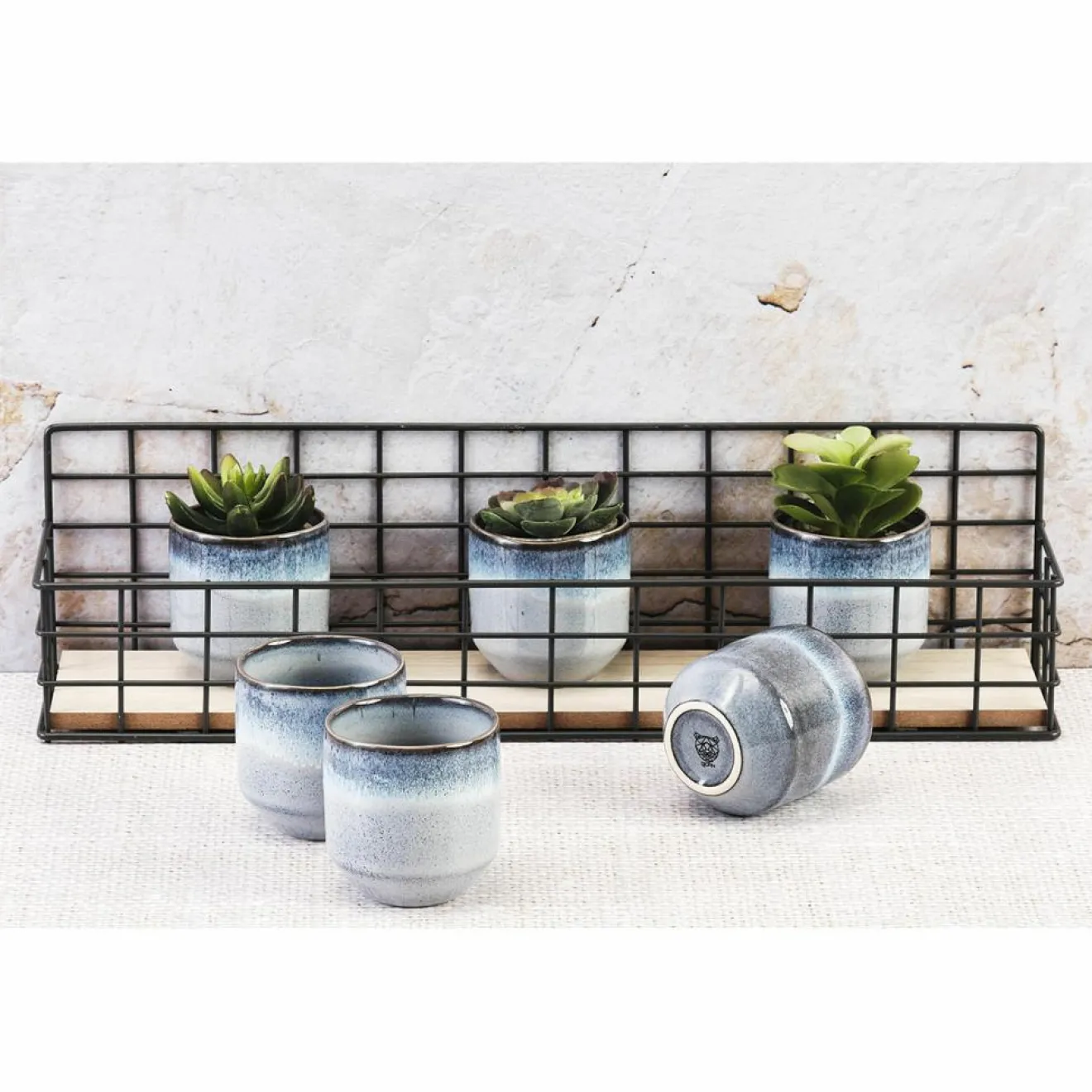 Bjorn 6 Tasses Genesis bleus - 15 cl