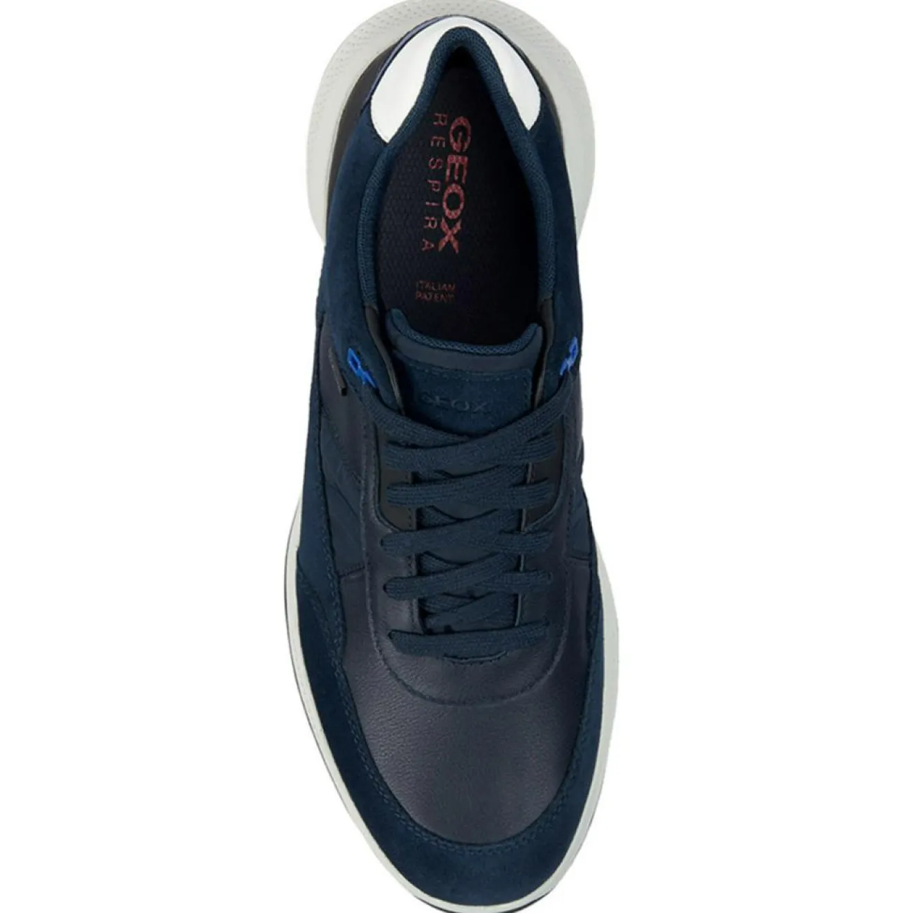 Hot Geox Baskets bleu marine