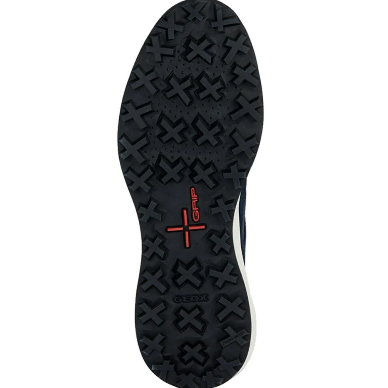 Hot Geox Baskets bleu marine