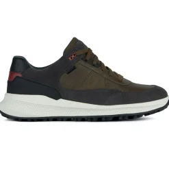 Hot Geox Baskets kaki