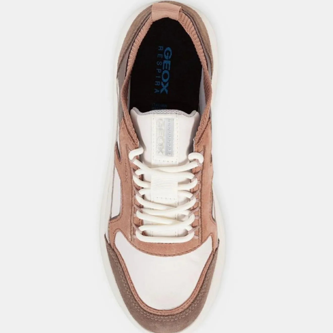 Sale Geox Baskets en Cuir Spherica multicolores