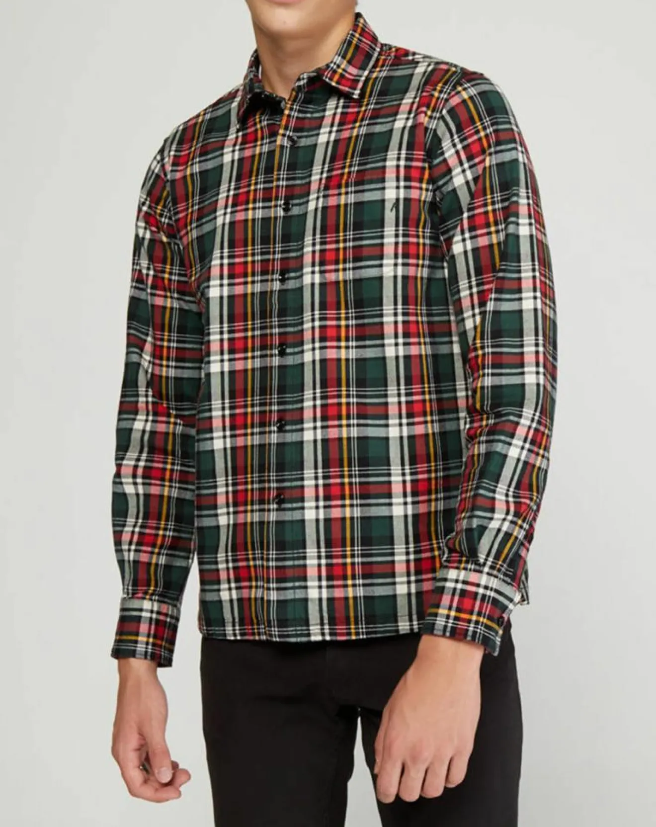 Homme Replay Chemise à carreaux rouge/vert