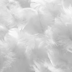 Sale Hypsom Couette Natura Duvet & Plumes blanche - 140x200 cm