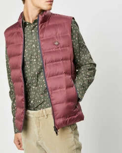 Homme Hackett London Doudoune sans manches bordeaux