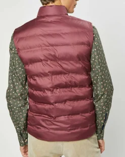 Homme Hackett London Doudoune sans manches bordeaux