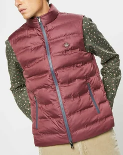 Homme Hackett London Doudoune sans manches bordeaux