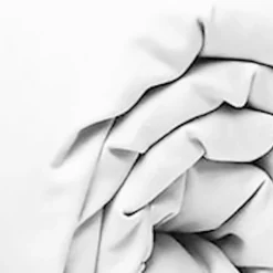 Home Collection Drap Housse blanc