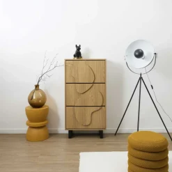 Discount Home Deco Factory Meuble à chaussures Calypso marron/noir - 60x24x115 cm