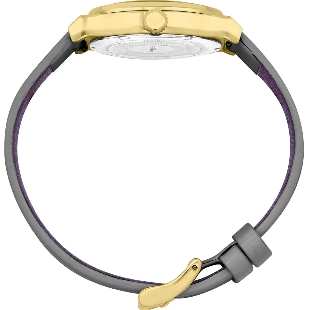 Femme Baldinini Montre Femme en Cuir Gibi grise