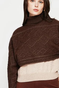 Femme C&Jo Poncho court col roulé café