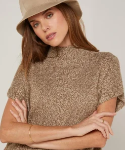 Femme Rodier Pull Phoebe col roulé sans manches marron