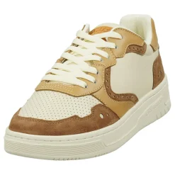 Femme Scotch & Soda Sneakers en Cuir Bia marron/beige